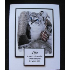 Pet Greeting Cards made in BC - Snuffles 44